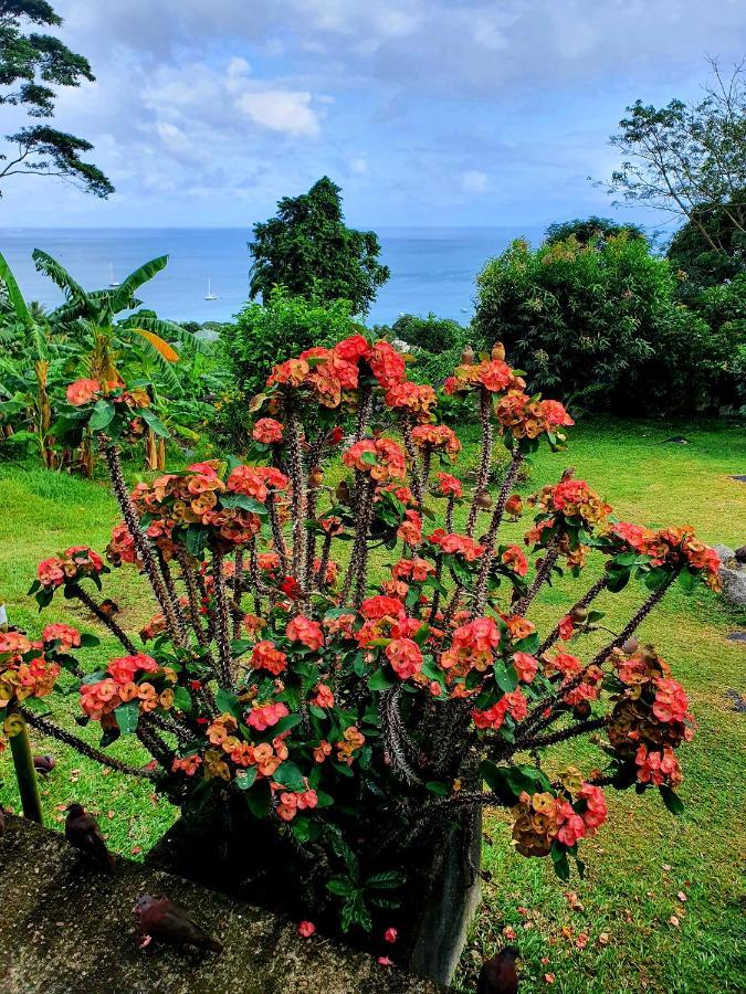 Apartmán Rose Self Catering Beau Vallon  Exteriér fotografie